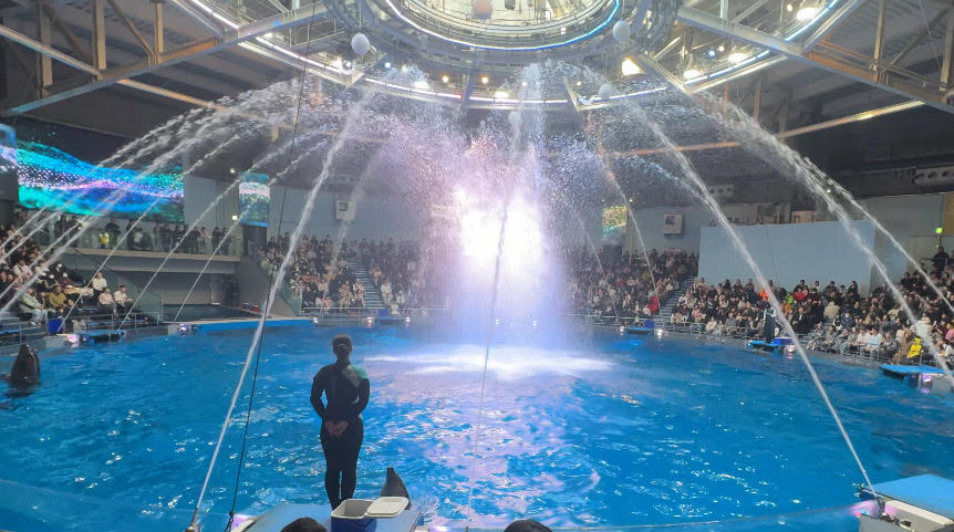 フルート　 マクセルアクアパーク品川